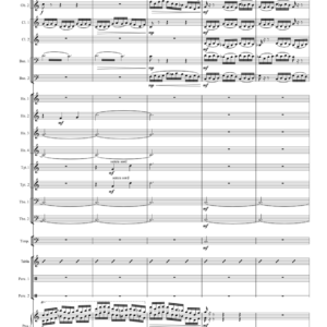 Vishwas (mmts1/2/3)-Sinfonietta version (1111 | 1110)