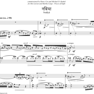 Nadiya (flute/cello)