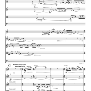 Teen Murti (SQ and solo cello)