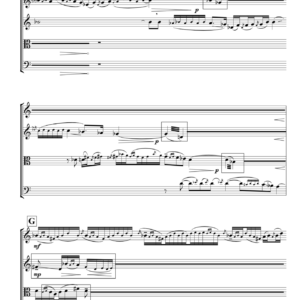 String Quartet - Ragamala (w/ Hindustani vocals)