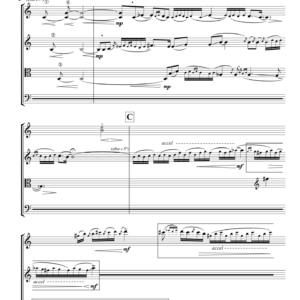 String Quartet - Ragamala (SQ only)