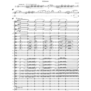 RE|Member (orchestra)