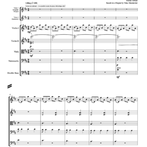 Ram Tori Maya - string orchestra (w/ opt. singers)