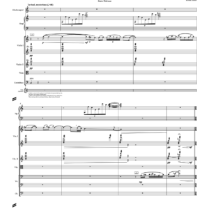 Vishwas: III (string orchestra)