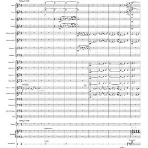 Concerto for Hindustani Violin and Orchestra