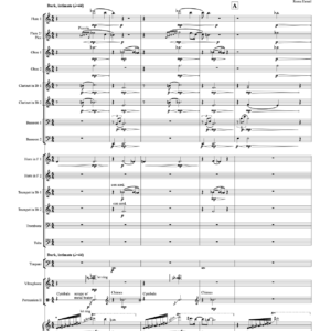 Rosa de Sal (trumpet and orchestra)